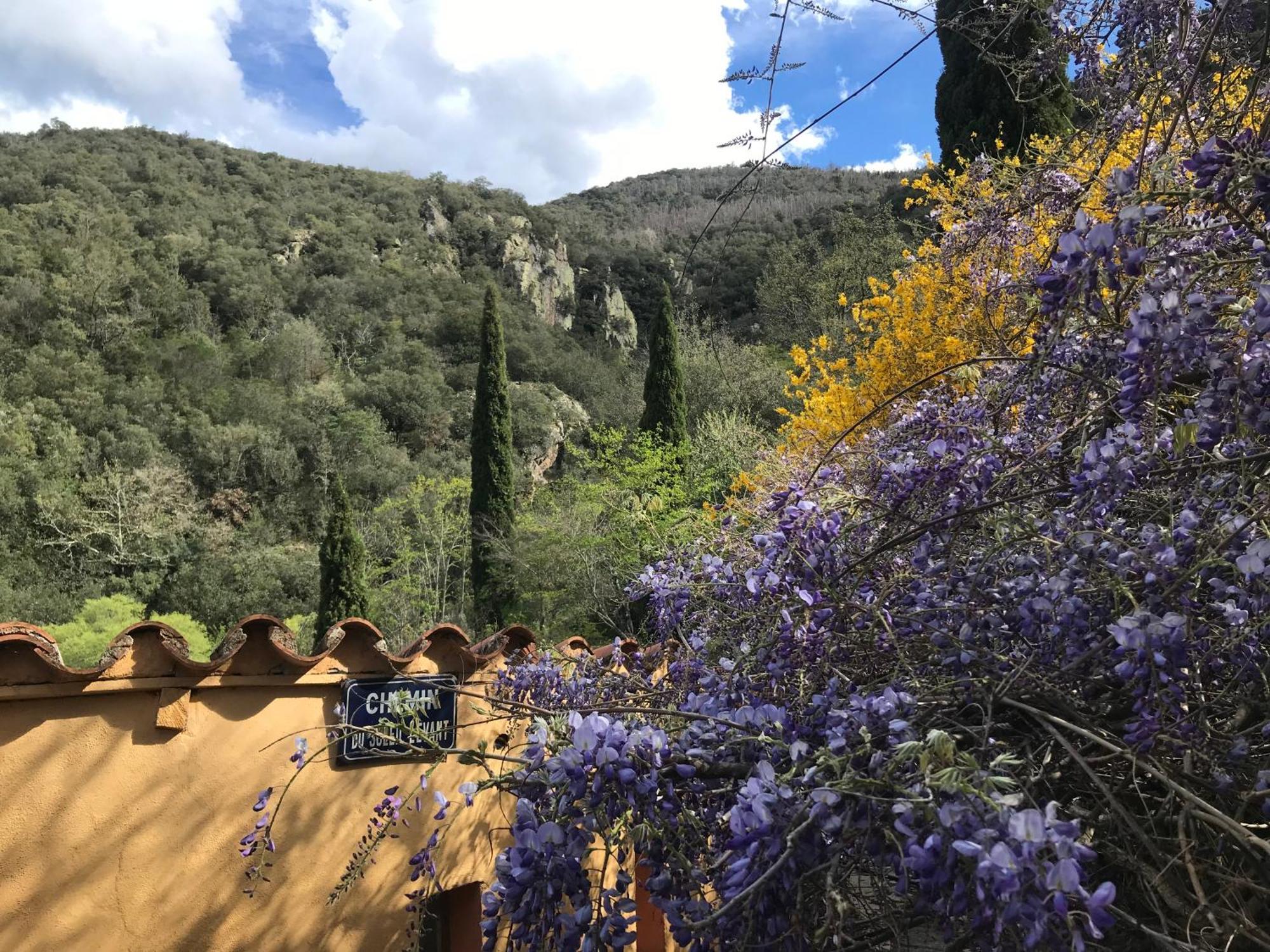 فيلا El Refugio Reynès المظهر الخارجي الصورة