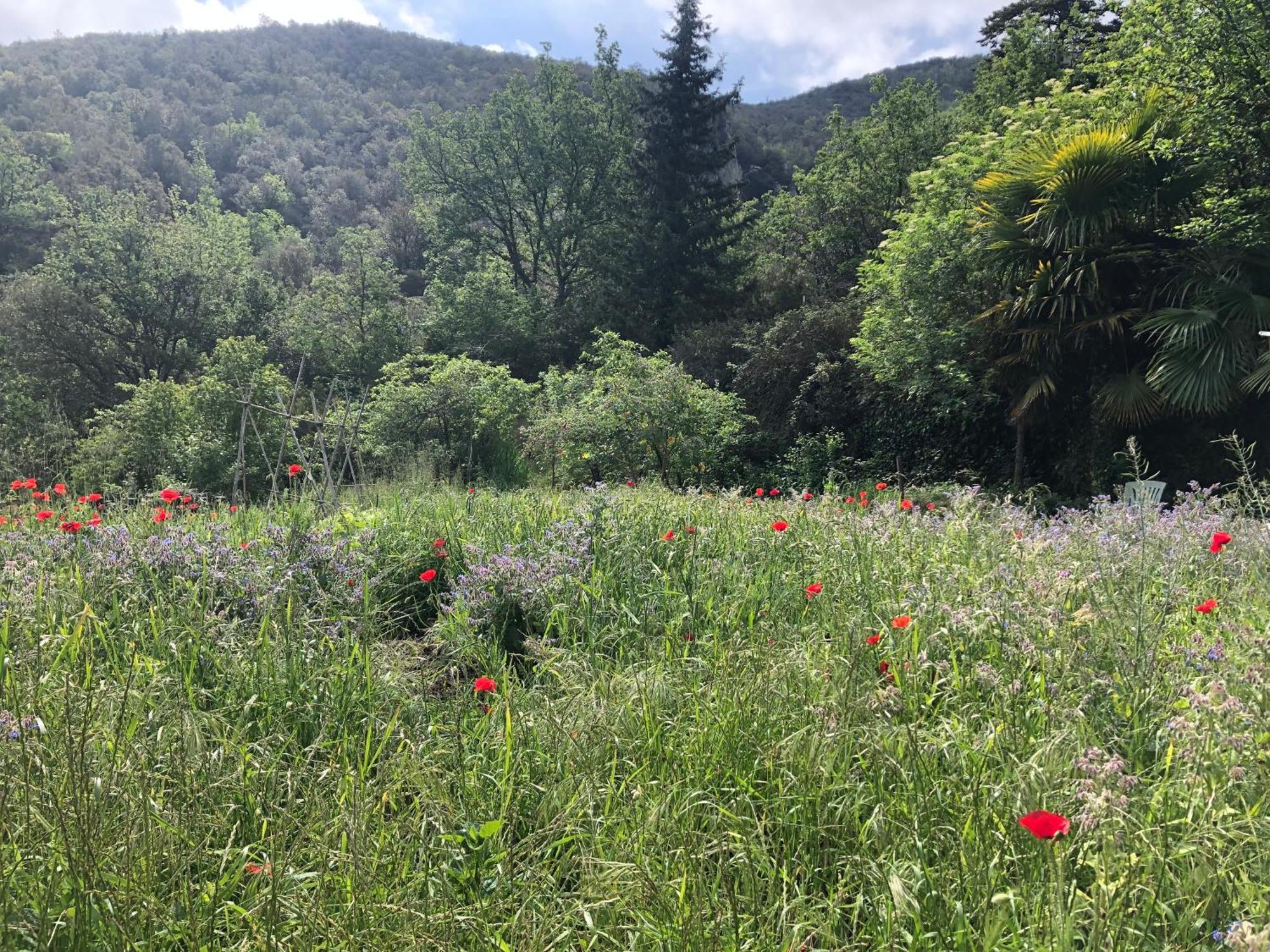 فيلا El Refugio Reynès المظهر الخارجي الصورة